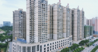 大发国际凤祥铭居